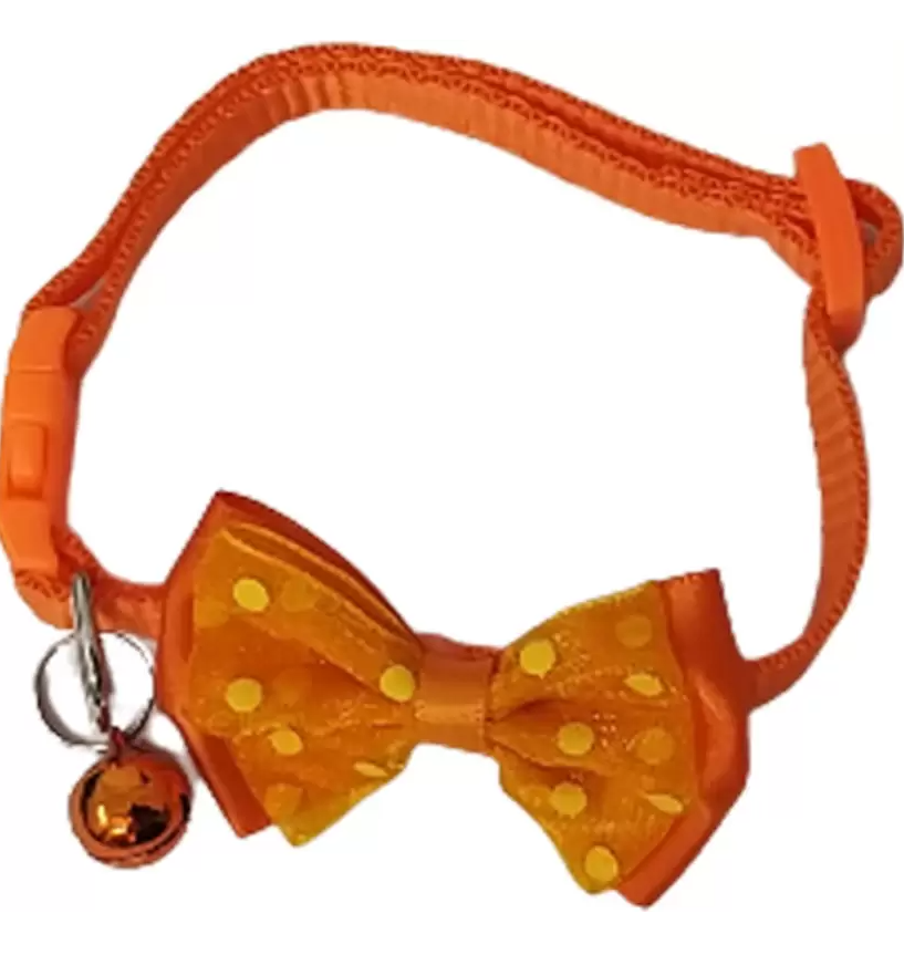Jainsons Pet Products Cat Head Collar (Small, Orange)